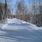 Temiskaming Nordic - Ski Northern Ontario - Blue Moose Trail