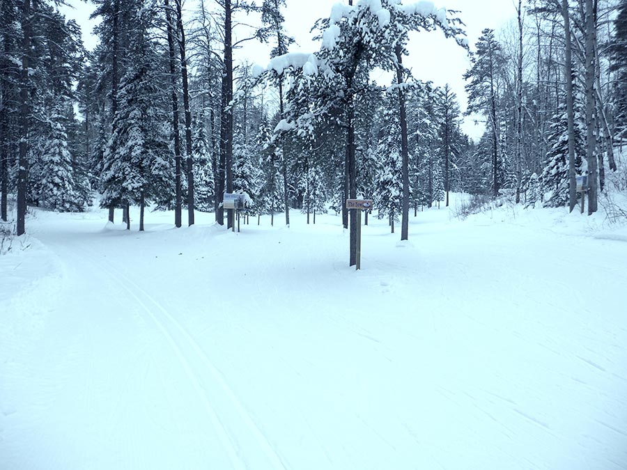 Temiskaming Nordic - Ski Northern Ontario - Playground