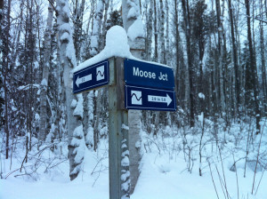 Temiskaming Nordic - Ski Northern Ontario - Our Trail System